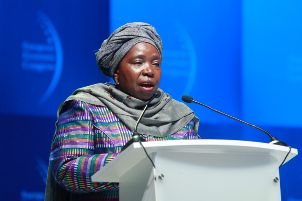 W sesjach EEC 2015 wezmą udział m.in. Nkosazana Dlamini-Zuma, przewodnicząca, African Union Commission (na zdjęciu), czterech komisarzy Unii Europejskiej, europarlamentarzyści, kilkudziesięciu ministrów i wiceministrów z całego świata oraz prezesi największych firm, eksperci i biznesmeni. 
