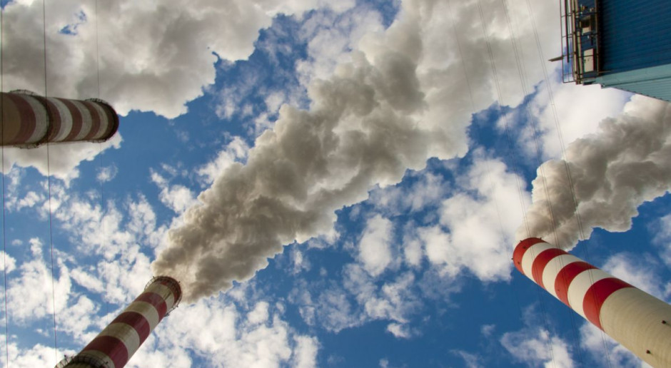 Raport KOBiZE z rynku CO2 - luty 2020