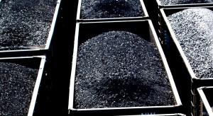 Kompania Węglowa nadal głównym dostawcą węgla dla PGE