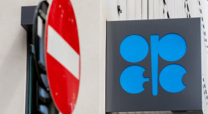 Luka po ropie z Rosji może być mniejsza. OPEC już o tym myśli