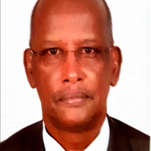  Ibrahim M. Mohamed