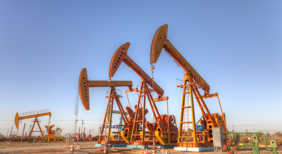 Napięcia w OPEC zatrzymały rajd na rynkach ropy