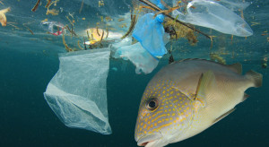 Różnorodność plastiku w morzach utrudnia badania naukowe
