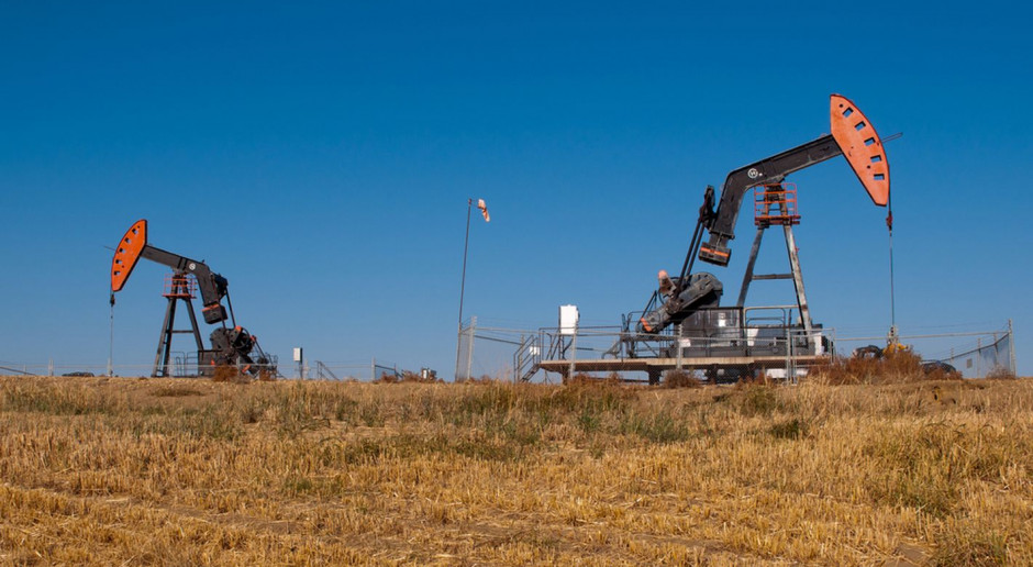 Rząd Alberty gwałtownie szuka sposobu na zakończenie spadków cen ropy