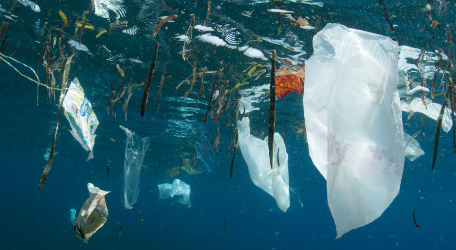 Europa bardziej boi się plastiku niż zmian klimatu