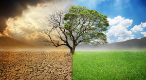 Przewodniczącym szczytu klimatycznego COP28 został prezes koncernu paliwowego