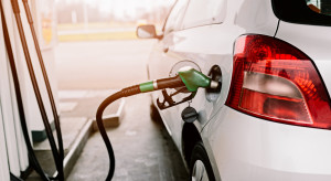 Jak obniżyć ceny paliw? Chrzcząc je etanolem