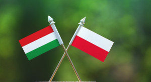 Węgry: Wsparcie polsko-węgierskiej współpracy start-upów w planach Fundacji Felczaka