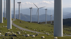 Spółka Erbudu wybuduje farmę wiatrową za ponad 40 mln zł