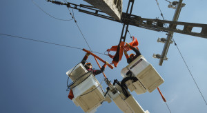 Ilu klientów mają najwięksi dystrybutorzy energii?