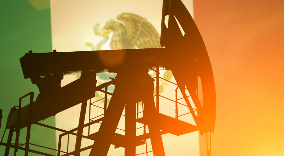 Ceny ropy naftowej znów poszły w górę