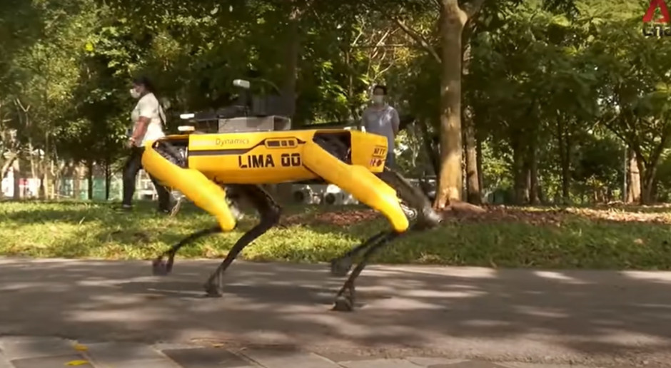 Pies-robot pilnuje dystansowania społecznego w Singapurze