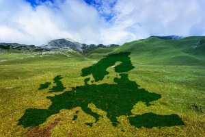 Zbadali opinię o Europejskim Zielonym Ładzie. Mimo pandemii, duży optymizm
