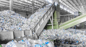 Martwe muchy można wykorzystać do produkcji biodegradowalnego plastiku