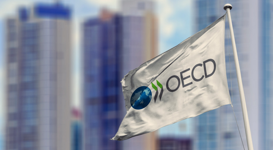 OECD poprawia prognozy dla gospodarki światowej. Martwi jednak zadłużenie