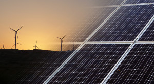 Firmy i instytucje rzucają wyzwanie zmianom klimatu