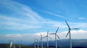 Połowa świata już podjęła decyzję o neutralności wobec klimatu