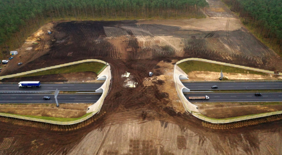 Budowa polskiej sieci autostrad ma zakończyć się w 2025 roku