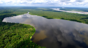 Rząd Brazylii cofnął zgodę na wydobycie złota w Amazonii