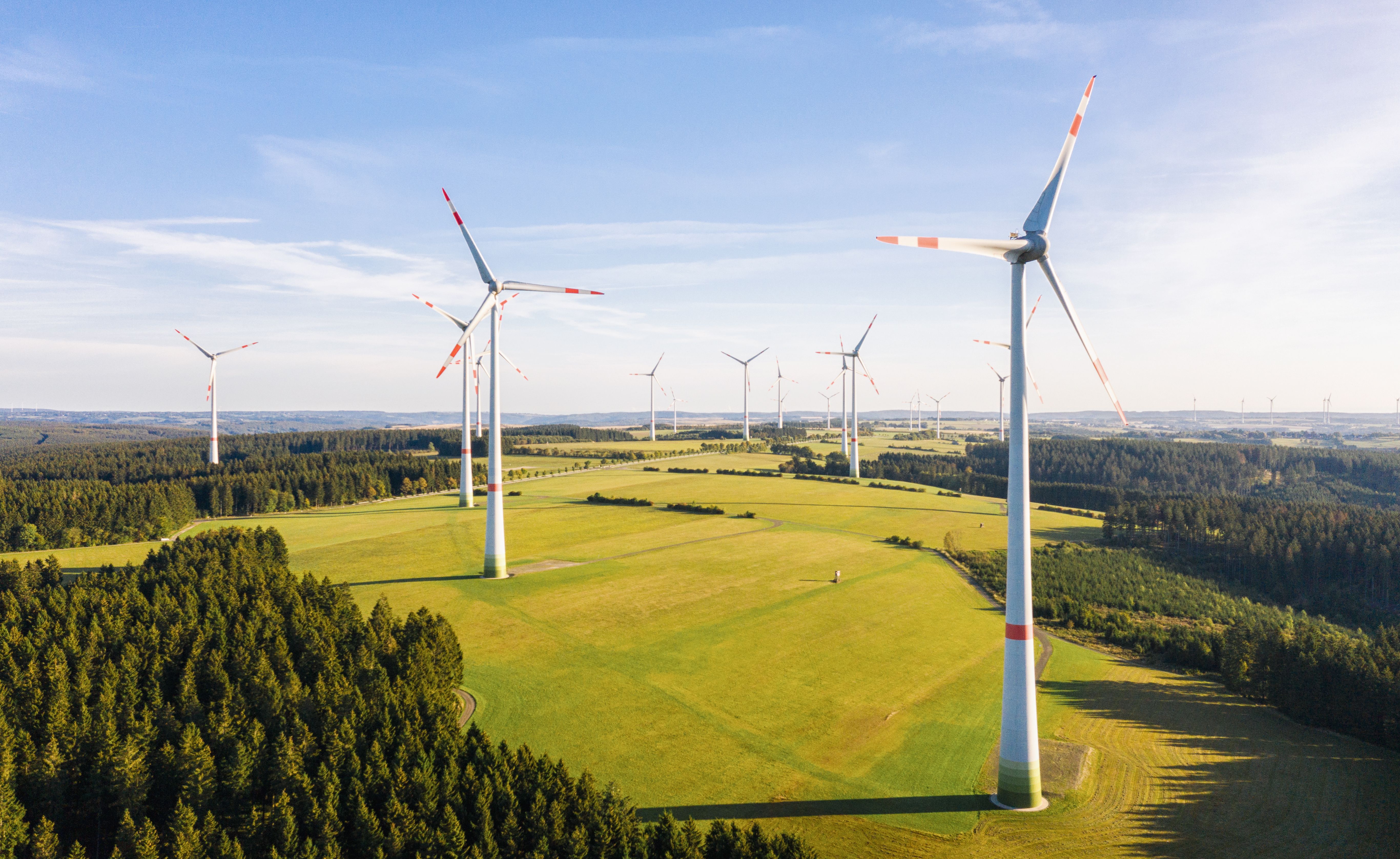 W ramach umów cPPA bardzo często kupowana jest energia produkowana przez wiatraki ( Źródło: Shutterstock)