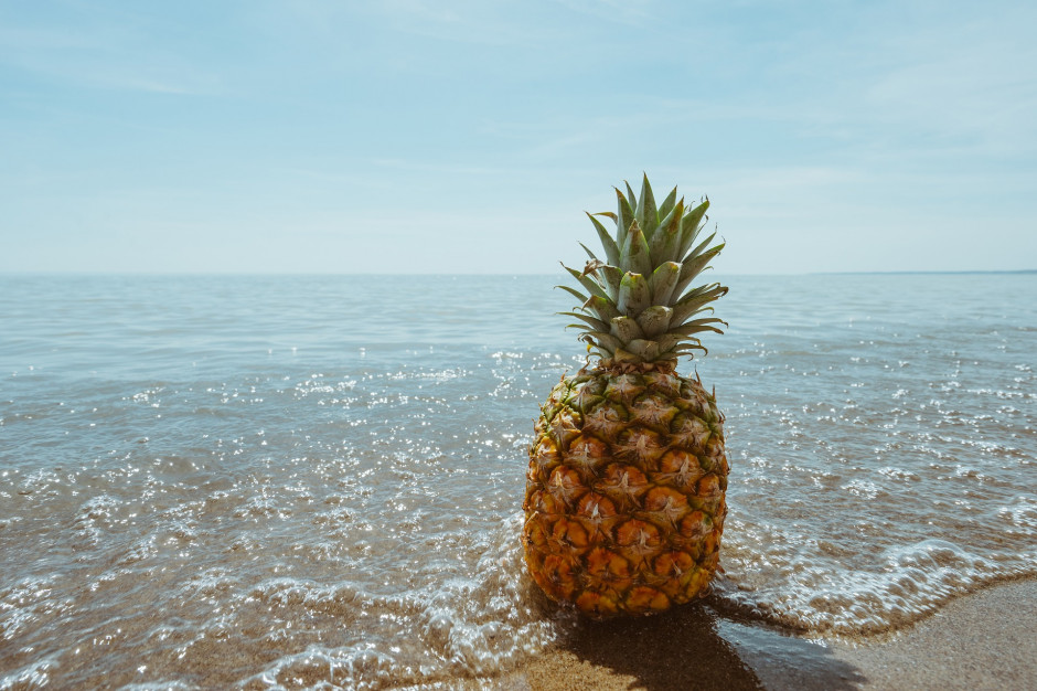Chiński zakaz na tajwańskie ananasy zwiększa ich sprzedaż w Japonii - rynki zagraniczne