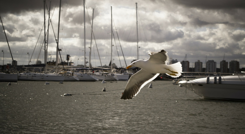 Port Hel-Zachód zostanie wyremontowany