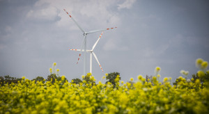 Tauron produkuje coraz więcej energii z wiatru