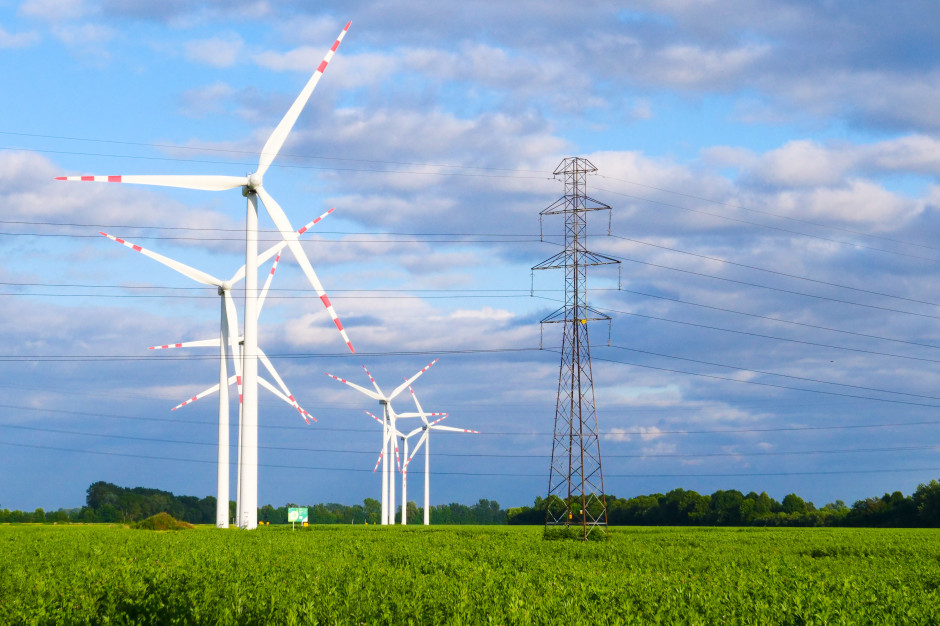 Trupy z węglowej szafy będą nadal wypadać