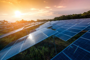 Polenergia podała, że w ciągu najbliższych dwóch latach zainstalowane słoneczne moce firmy wzrosną do 150 MWp.