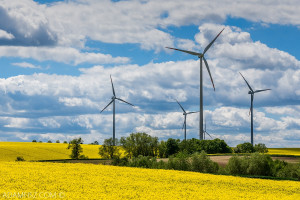 Spółka Erbudu pozyskała duży kontrakt na farmę wiatrową
