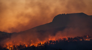 Cypr: Pożar szalejący u podnóża Troodos jest największy od co najmniej od 20 lat