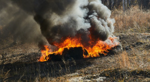 Cztery osoby zginęły w olbrzymim pożarze lasów w górach Troodos
