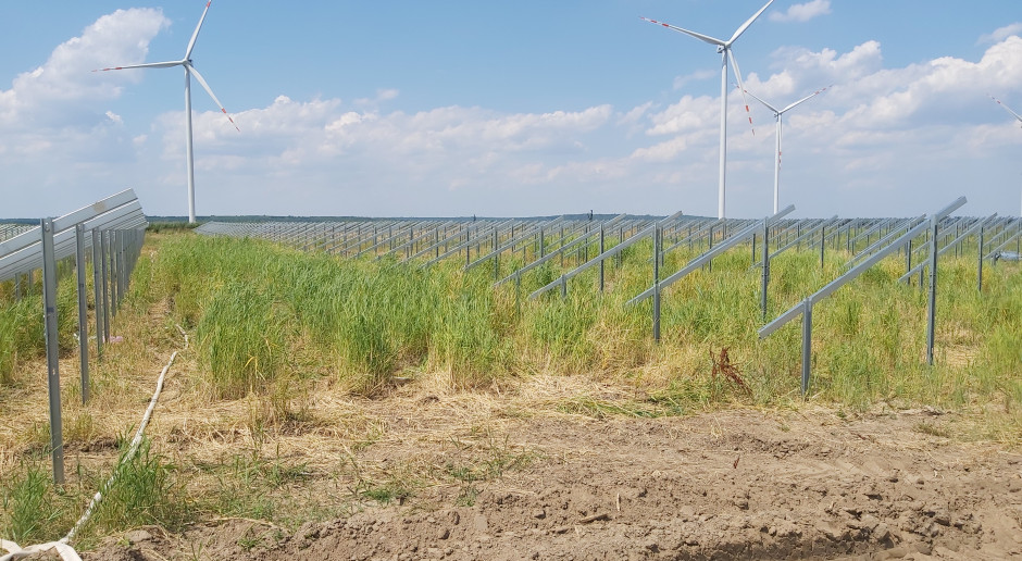 Energa OZE buduje farmę fotowoltaiczną Gryf. Zajmie 24 hektary