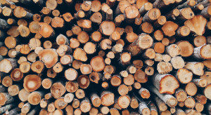 Wzrost cen średnich drewna w Polsce nie jest silny