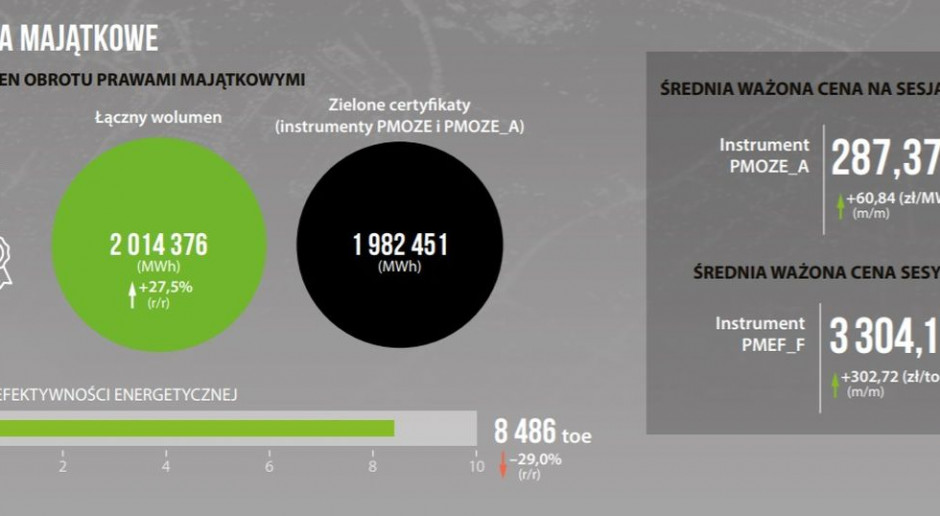 TGE Podała Szczegóły Na Temat Rekordów Na Rynku Gazu