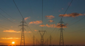 Rząd wywołał efekt domina na rynku prądu. Ceny w dół
