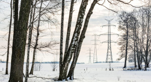 Polska eksporterem energii. Najwięcej prądu popłynęło od nas na Słowację i do Niemiec