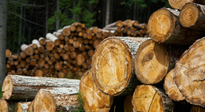 Pora obalić mity o drewnie