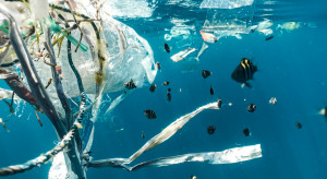 Oceaniczne głębiny pełne plastiku