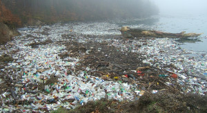 Europejski mikroplastik zaśmieca Ocean Arktyczny