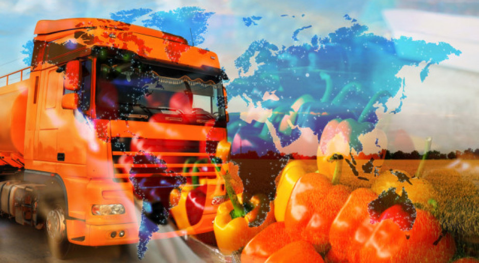 Wartości eksportu żywności wzrosła o blisko 20 proc.