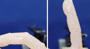Japońscy naukowcy pokryli robota żywą skórą
