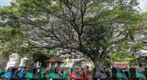 Ryksiarze na Sri Lance w gigantycznych kolejkach po paliwo