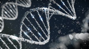 Nowa technika badawcza ukazała "ukryty genom"