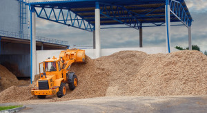 Wiceminister rolnictwa chce, żeby biomasa zastąpiła "niemieckie wiatraki"
