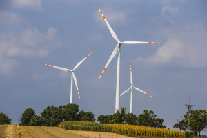 Le Groupe Tauron dispose actuellement de 11 parcs éoliens