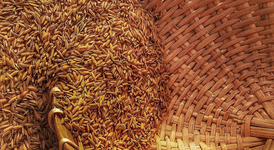 Rosja wywiozła z Ukrainy prawie 6 mln ton pszenicy