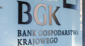 Wydatki z funduszy BGK w tym roku to 133,6 mld zł