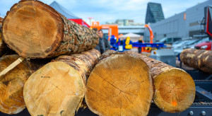 Lasy Państwowe podcinają gałąź, na której siedzą. Straty poniesie wiele firm