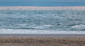 Zatoka na Bałtyku będzie usiana fińskimi wiatrakami